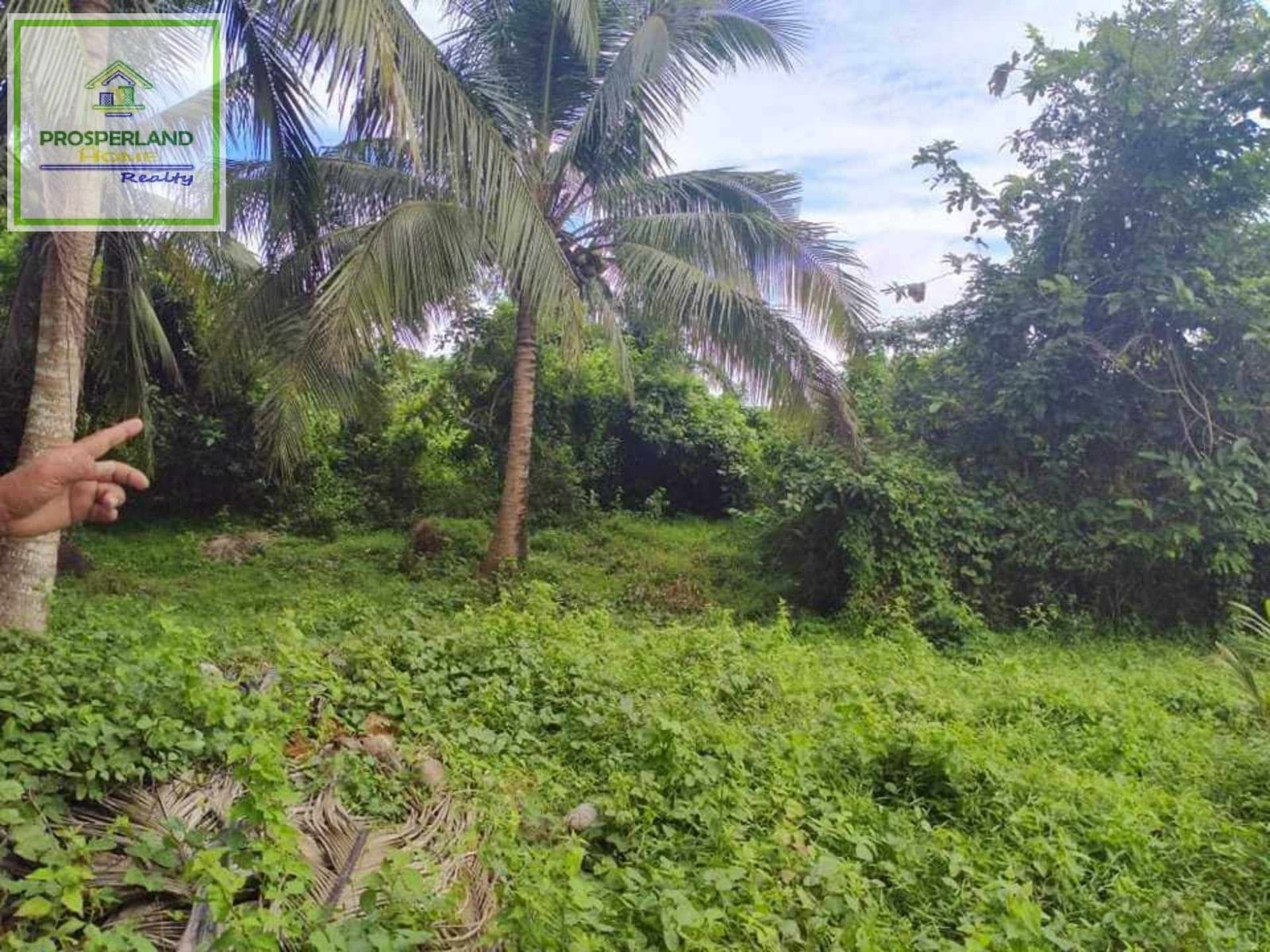 Copy of 444783249_3920697211483955_6335797919491880847_n