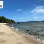 Copy of 454852225_122164320614232164_7262307839878037799_n