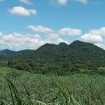 Copy of received_1096769078112873