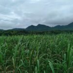 Copy of received_1152860146143612