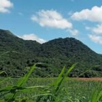 Copy of received_1247713739541413