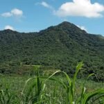 Copy of received_1630713871000160