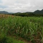 Copy of received_267438209637030