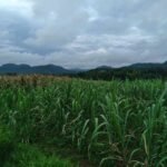 Copy of received_3106058916210053