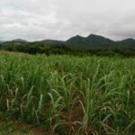 Copy of received_3327189107575380