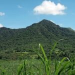 Copy of received_3569126533335691