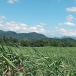 Copy of received_366542499676069