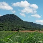 Copy of received_415153724217098