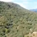 Copy of received_425241663402953