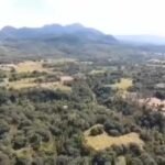 Copy of received_669651225187724