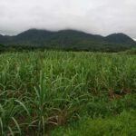 Copy of received_7191850074244173