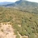 Copy of received_762186325549965