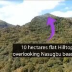 Copy of received_795872459265553