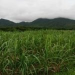 Copy of received_802158715115951