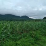 Copy of received_921941342722551