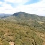 Copy of received_947712516410140