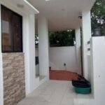 HL BACOLOR1
