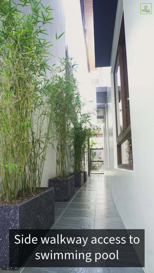 MIGUEL GW INT12