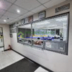 Screenshot 2025-10-23 144801