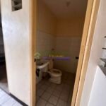 viber_image_2025-08-01_16-49-18-550