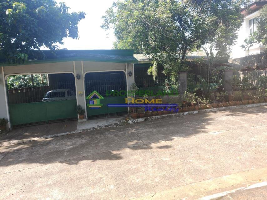 viber_image_2025-08-15_10-20-09-706