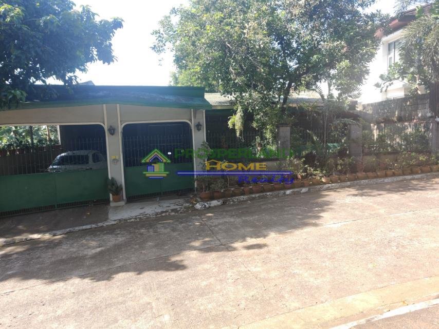 viber_image_2025-08-15_10-20-09-805