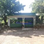 viber_image_2025-08-15_10-20-31-255