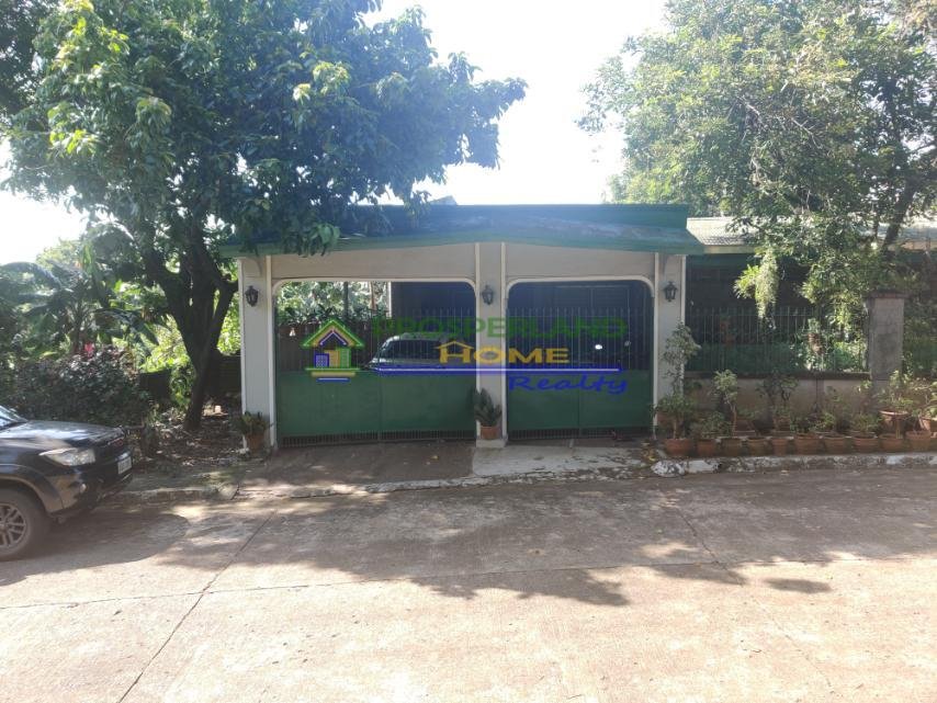 viber_image_2025-08-15_10-20-31-255