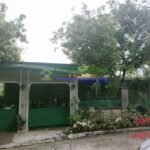 viber_image_2025-08-15_10-20-51-260