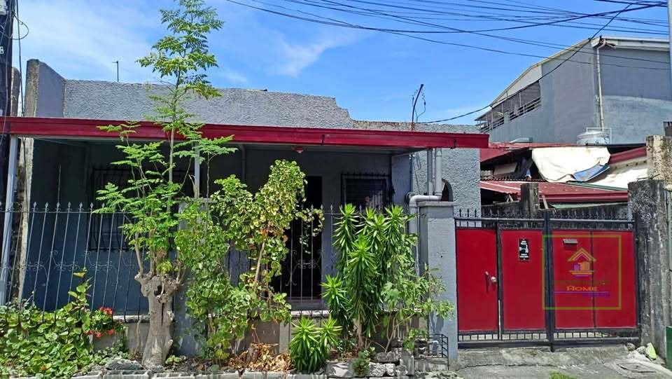 502763565_1236589337981592_7395686018709187324_n