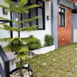 504159286_2357870491334711_4771367837023280593_n