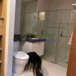 504307212_714803994576752_4795412399531392154_n