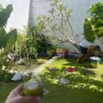 576900099_4301025280219148_4630352876399801523_n