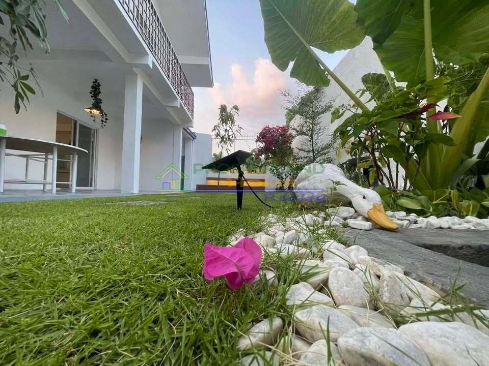 577127025_4301025756885767_3655309051317896656_n