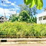 470742184_1049125210294313_8821457788081769490_n