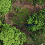 Screenshot 2026-03-10 160145