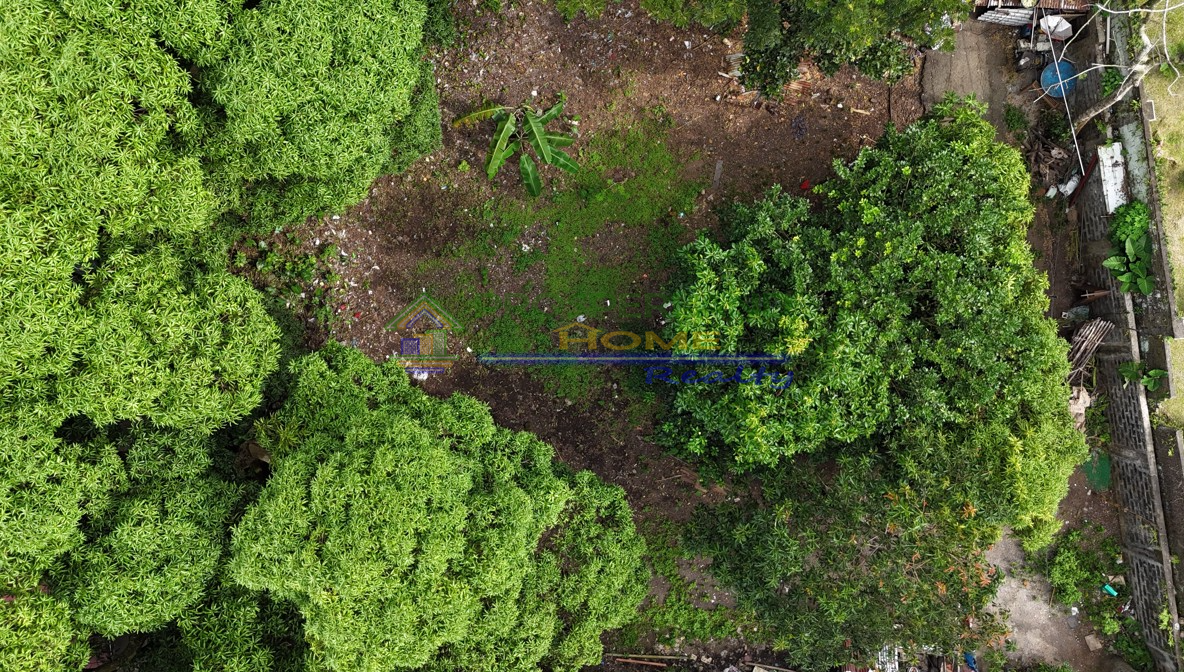 Screenshot 2026-03-10 160145