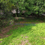 Screenshot 2026-03-10 160200