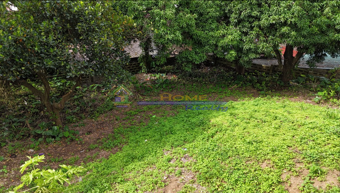 Screenshot 2026-03-10 160200