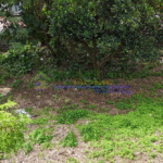 Screenshot 2026-03-10 160211