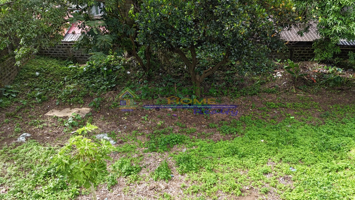 Screenshot 2026-03-10 160211