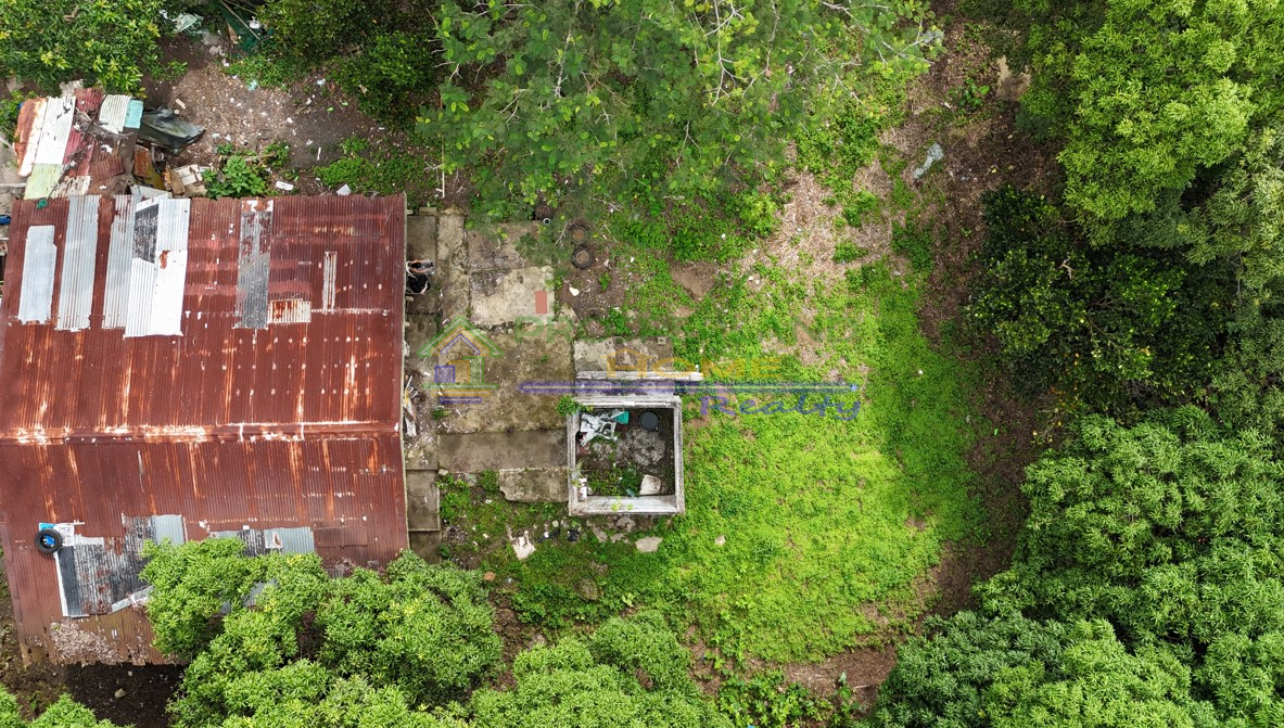 Screenshot 2026-03-10 160242