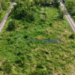 Screenshot 2026-03-11 102926