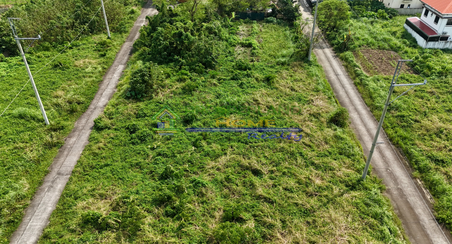 Screenshot 2026-03-11 102926