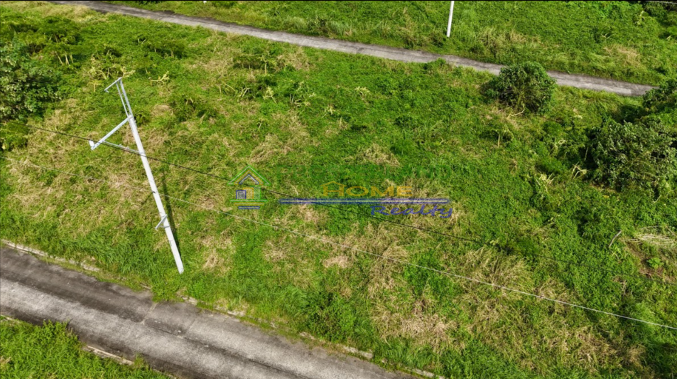 Screenshot 2026-03-11 102934