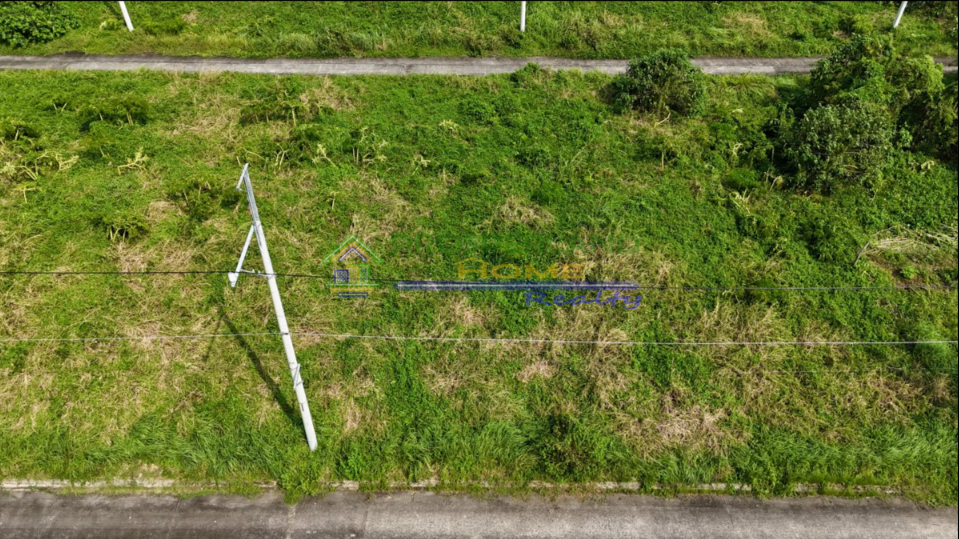 Screenshot 2026-03-11 102942