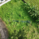 Screenshot 2026-03-11 103518