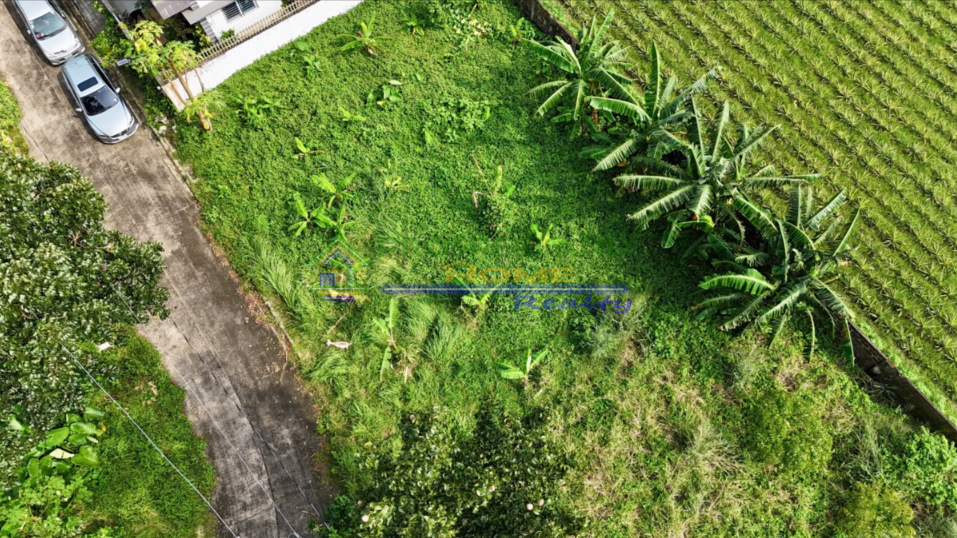 Screenshot 2026-03-11 103518