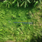 Screenshot 2026-03-11 103525