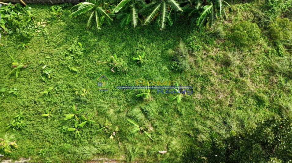 Screenshot 2026-03-11 103525